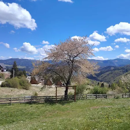 Aurora Tara 1 Bajina Basta